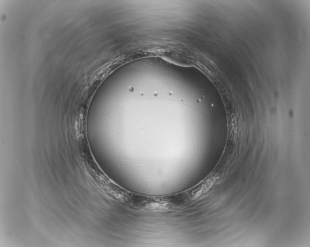 X0000052550364200507221457