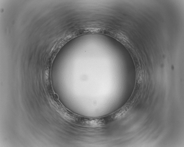 X0000052550365200507221457