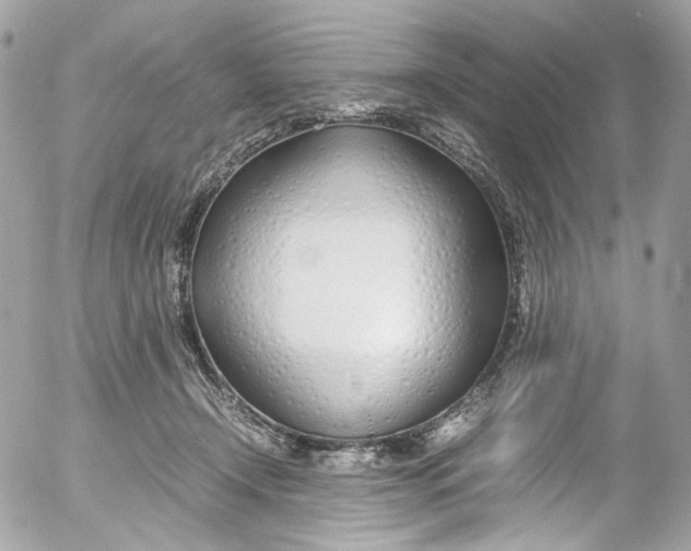 X0000052550366200507221457