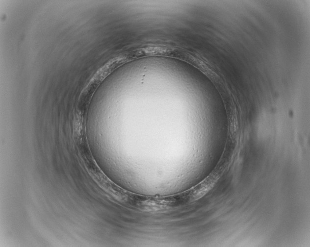 X0000052550367200507221457