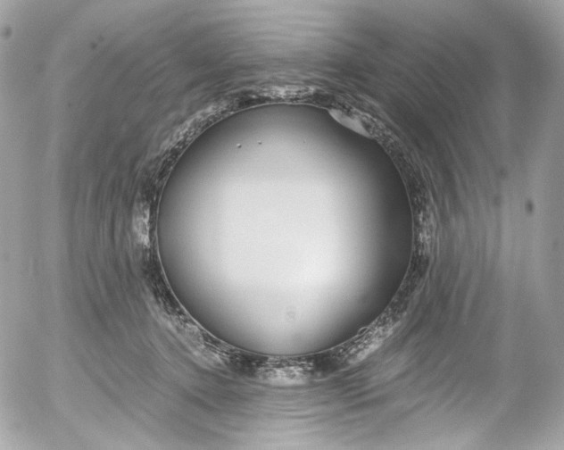 X0000052550368200507221457