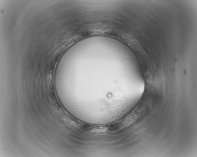 X0000052550369200507221457