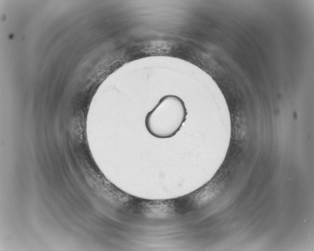 X0000052550370200507221457