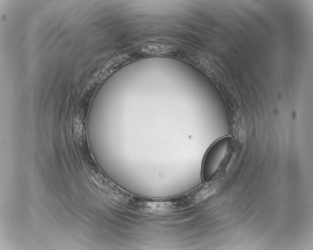 X0000052550371200507221457