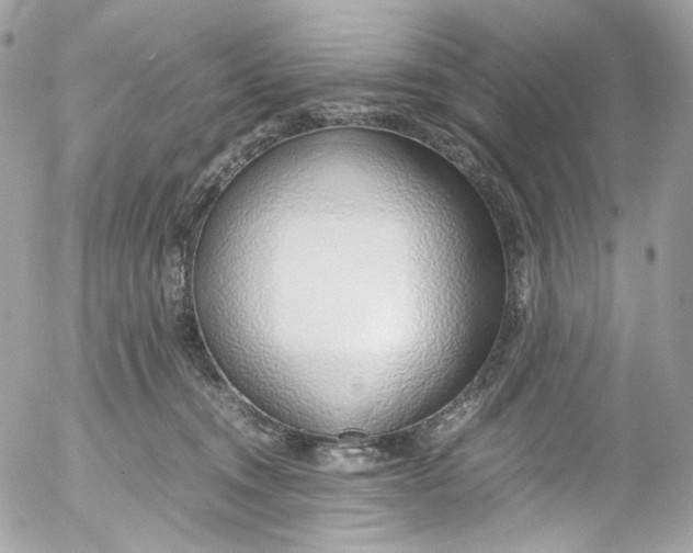 X0000052550372200507221457