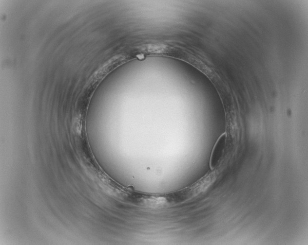 X0000052550374200507221457