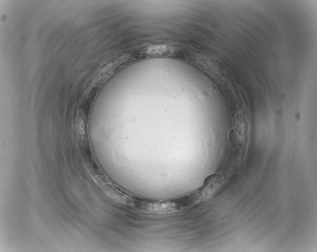 X0000052550375200507221457