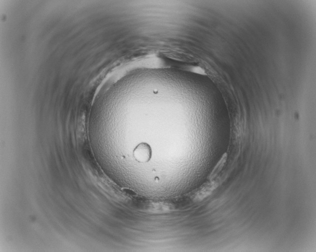 X0000052550376200507221457