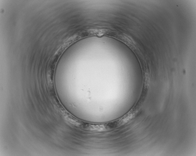 X0000052550377200507221457