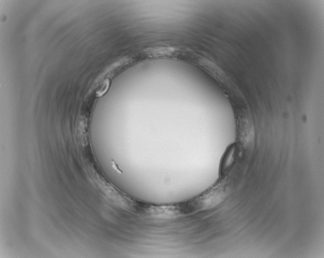 X0000052550378200507221457