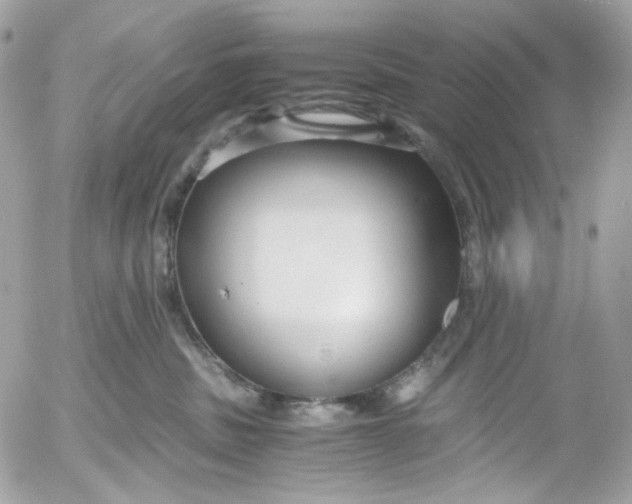 X0000052550379200507221457