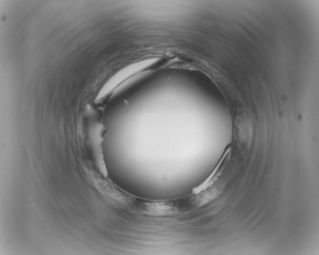 X0000052550380200507221457