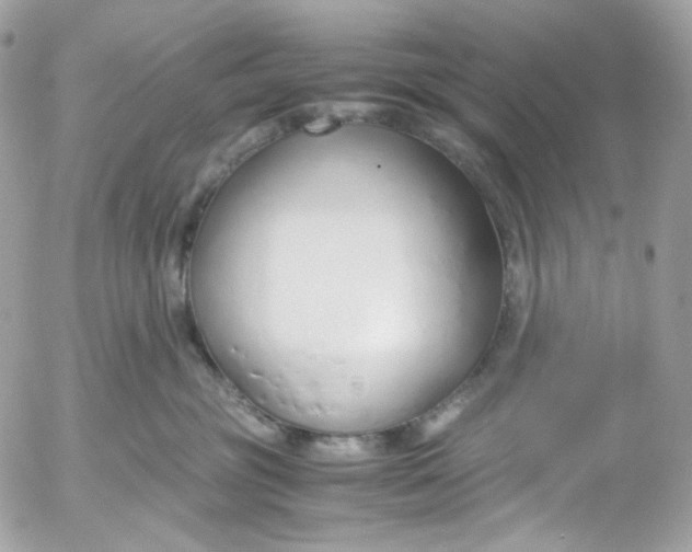 X0000052550381200507221457