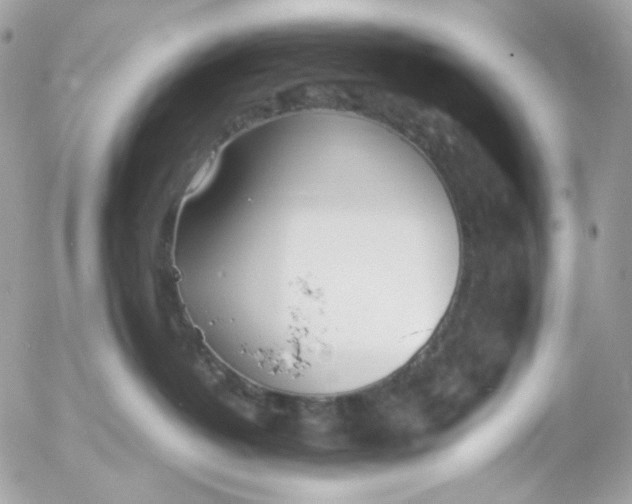 X0000052550382200507221457