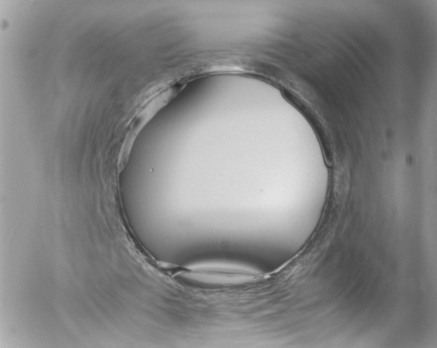 X0000052550385200507221456