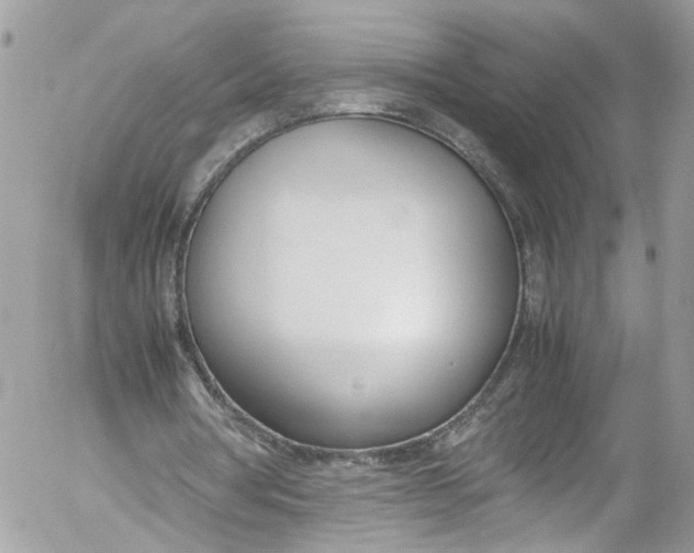 X0000052550386200507221456