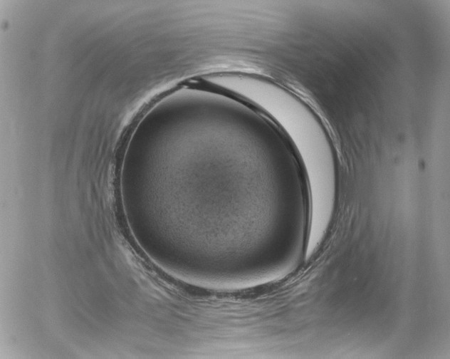 X0000052550387200507221456