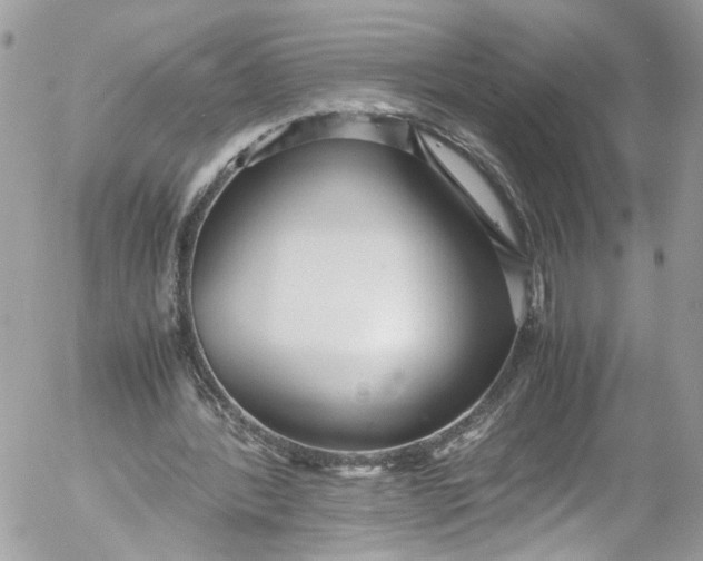 X0000052550388200507221456