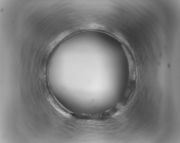 X0000052550389200507221456