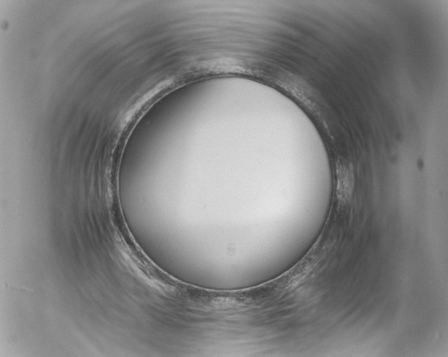 X0000052550390200507221456