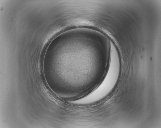 X0000052550391200507221456