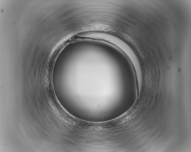 X0000052550392200507221456