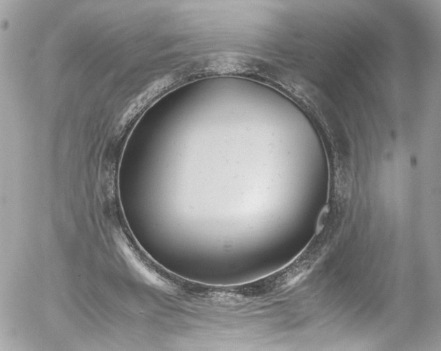 X0000052550393200507221456