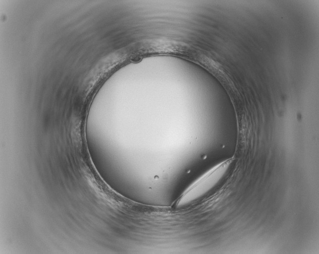 X0000052550394200507221456