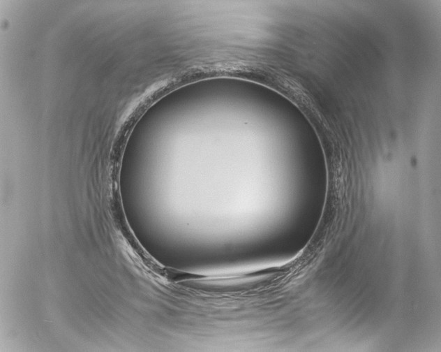 X0000052550395200507221456