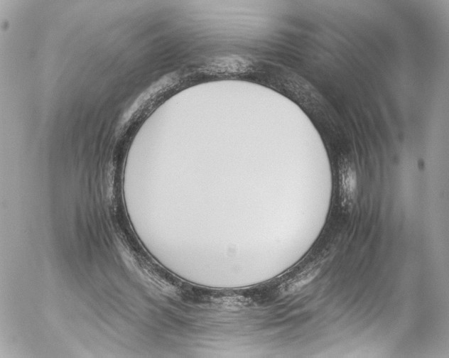 X0000052550396200507221456