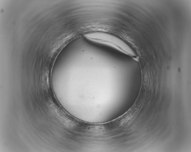 X0000052550398200507221456