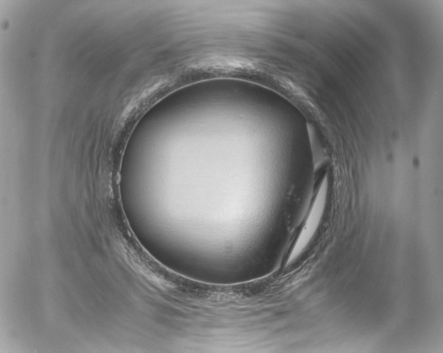 X0000052550399200507221456