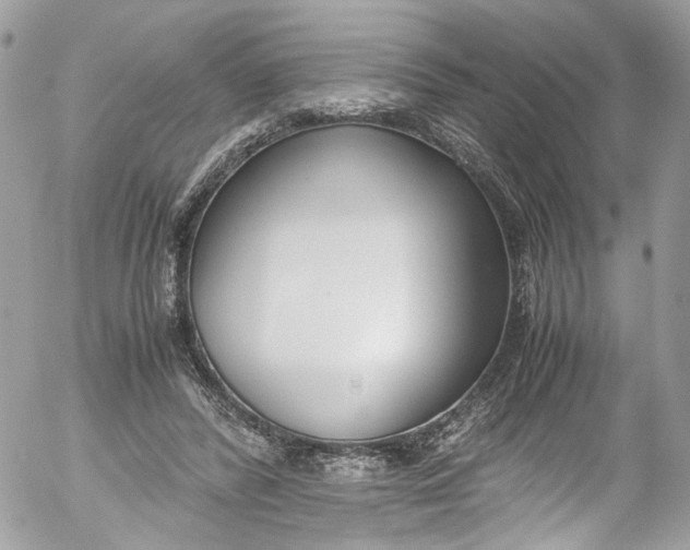 X0000052550400200507221456