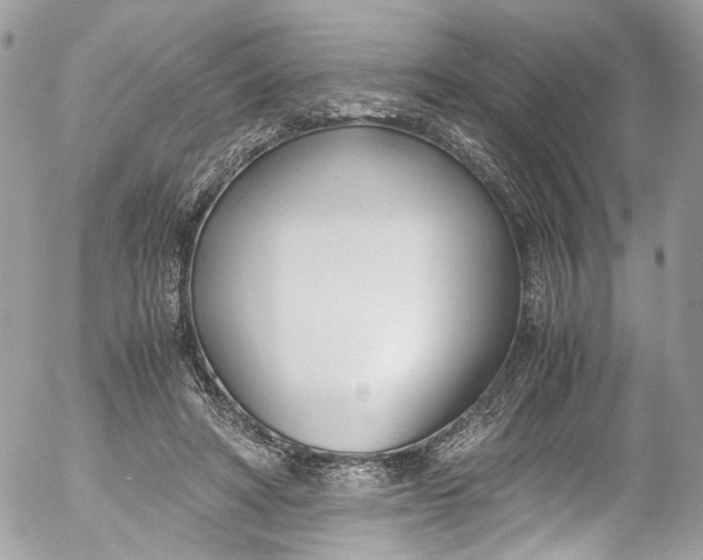 X0000052550402200507221456