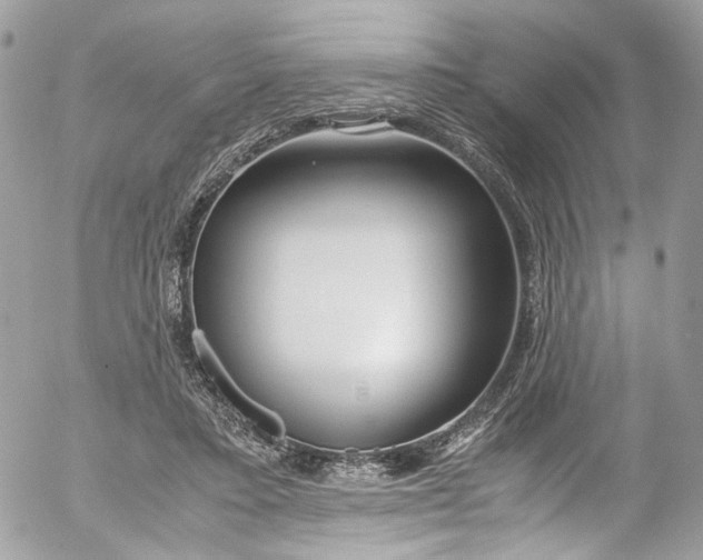 X0000052550403200507221456