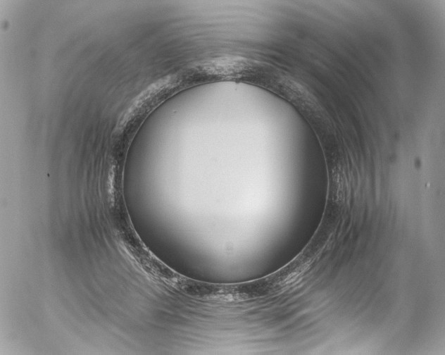 X0000052550404200507221456