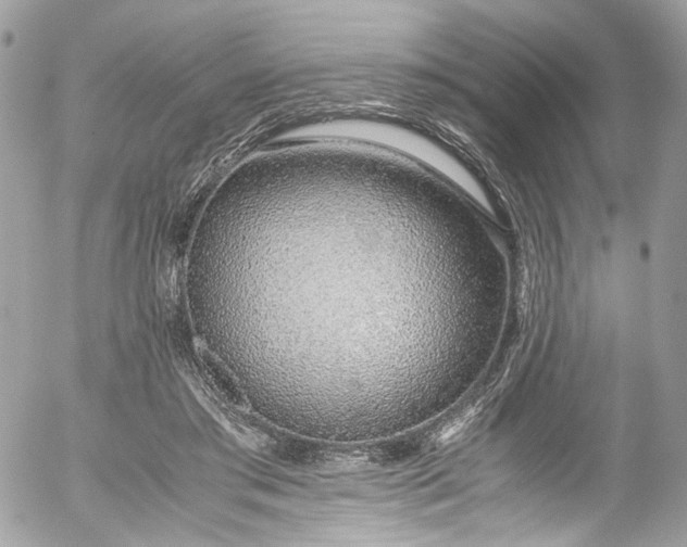 X0000052550405200507221456