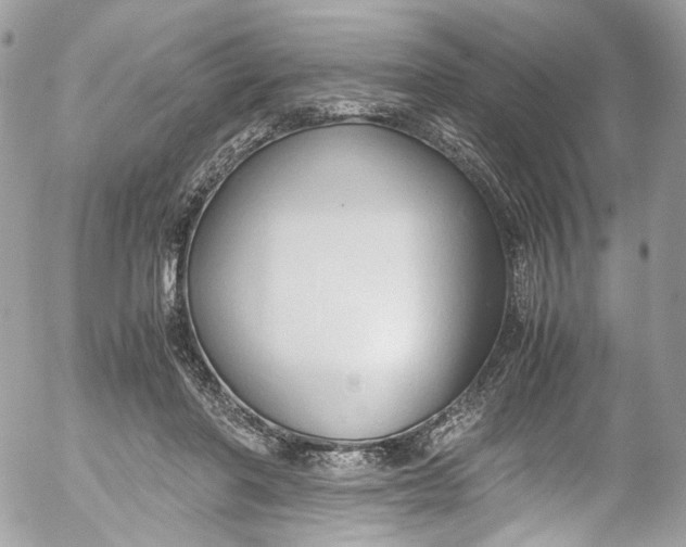 X0000052550406200507221456