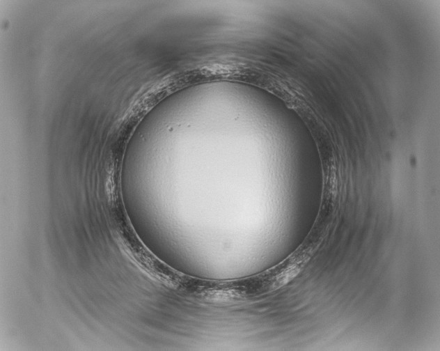 X0000052550408200507221456