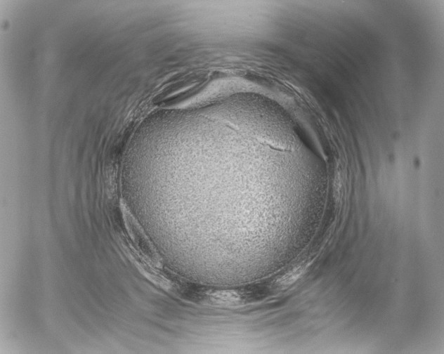 X0000052550409200507221456