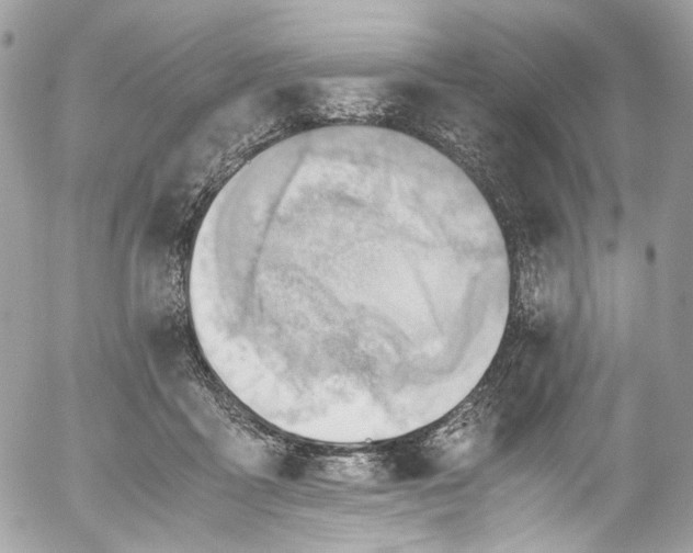 X0000052550411200507221456