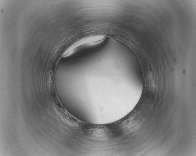 X0000052550412200507221456