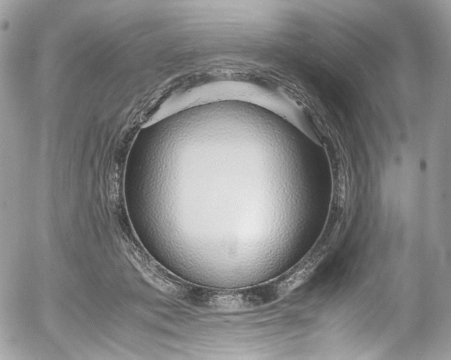 X0000052550413200507221456