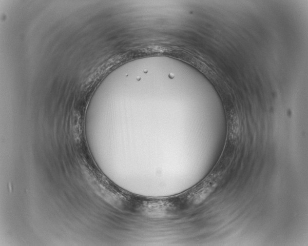 X0000052550414200507221456