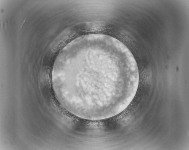 X0000052550415200507221456