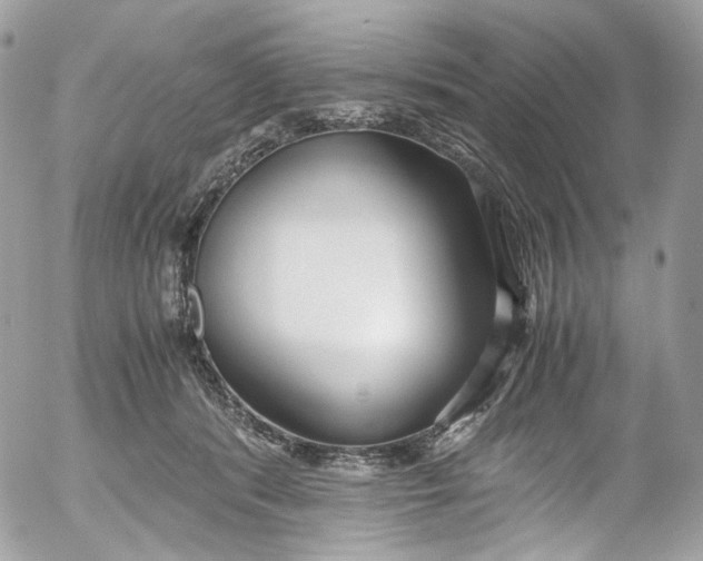 X0000052550416200507221456