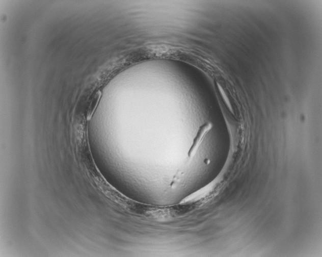 X0000052550417200507221456