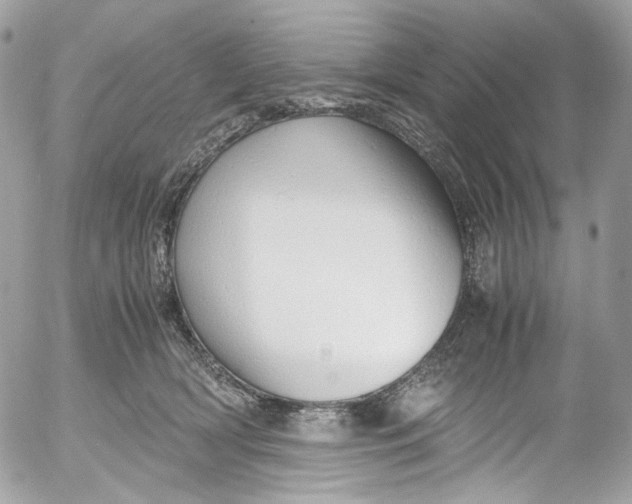 X0000052550418200507221456