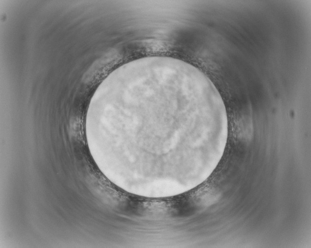 X0000052550419200507221456