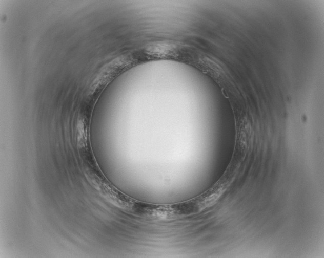 X0000052550420200507221456